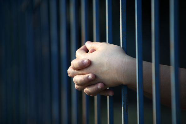 Renton Child Support Lawyer